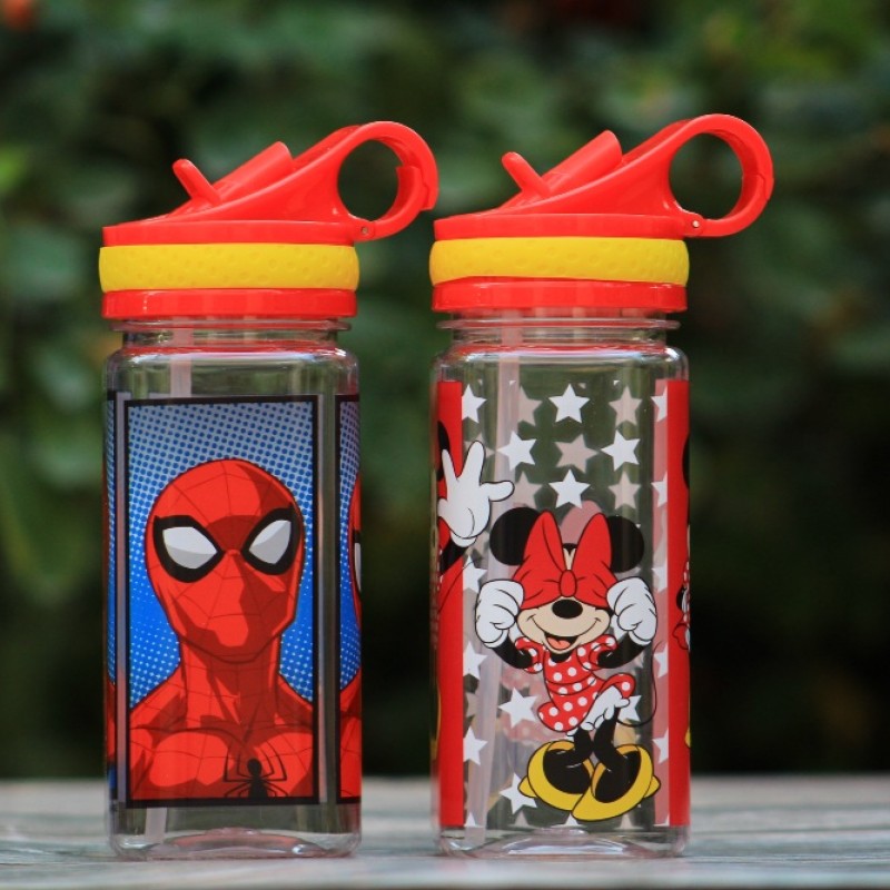 DISNEY WATER BOTTLE