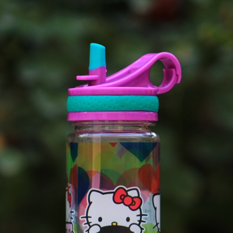 DISNEY WATER BOTTLE