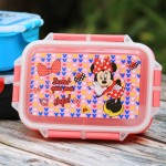 DISNEY PORTABLE LUNCH BOX FOR KIDS