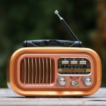 CLASSIC BT SPEAKERS & RADIO