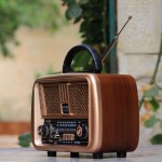 CLASSIC BT SPEAKERS & RADIO - MEDIUM