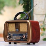 CLASSIC BT SPEAKERS & RADIO - MEDIUM
