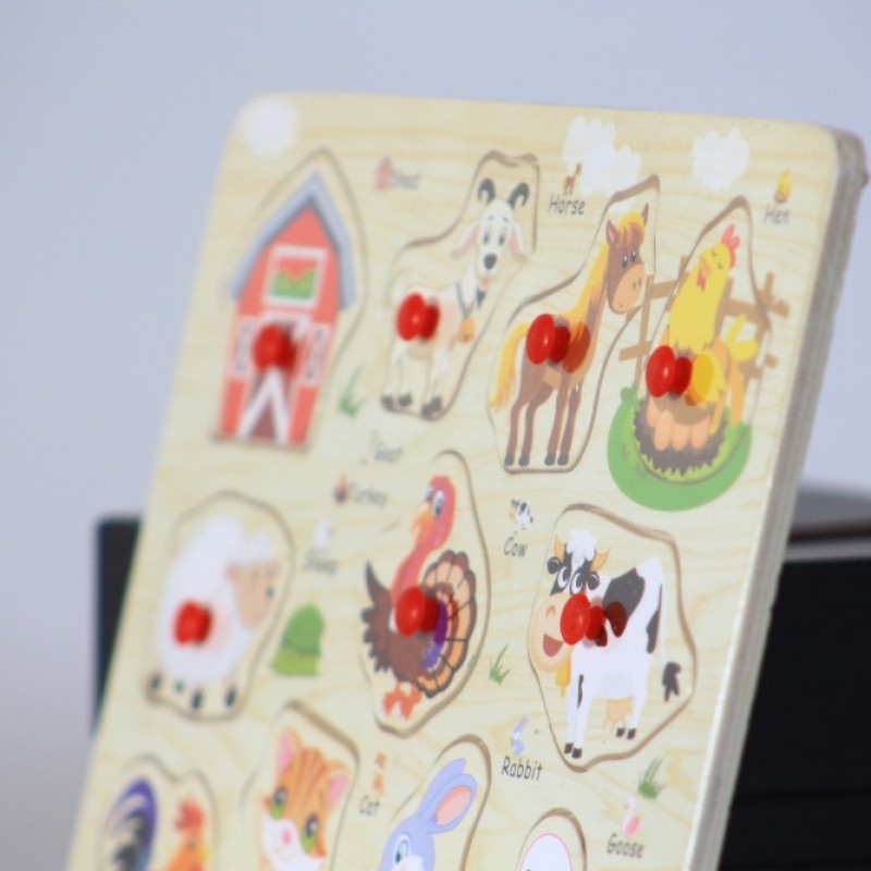 EDUCATIONAL WOODEN TOY